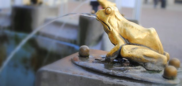 Żaba Flisaka Żaba Flisaka